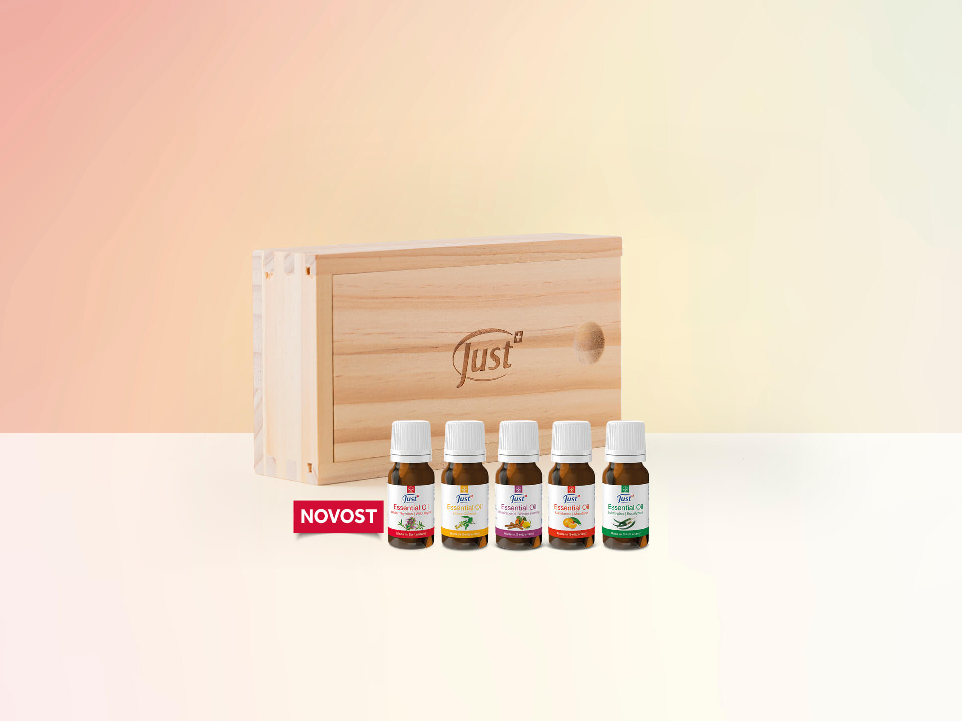 »V zraku in na obrazu«